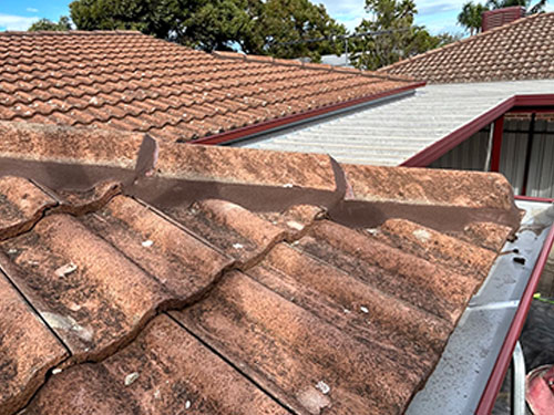 Roof Repairs Adelaide Leaking Roof